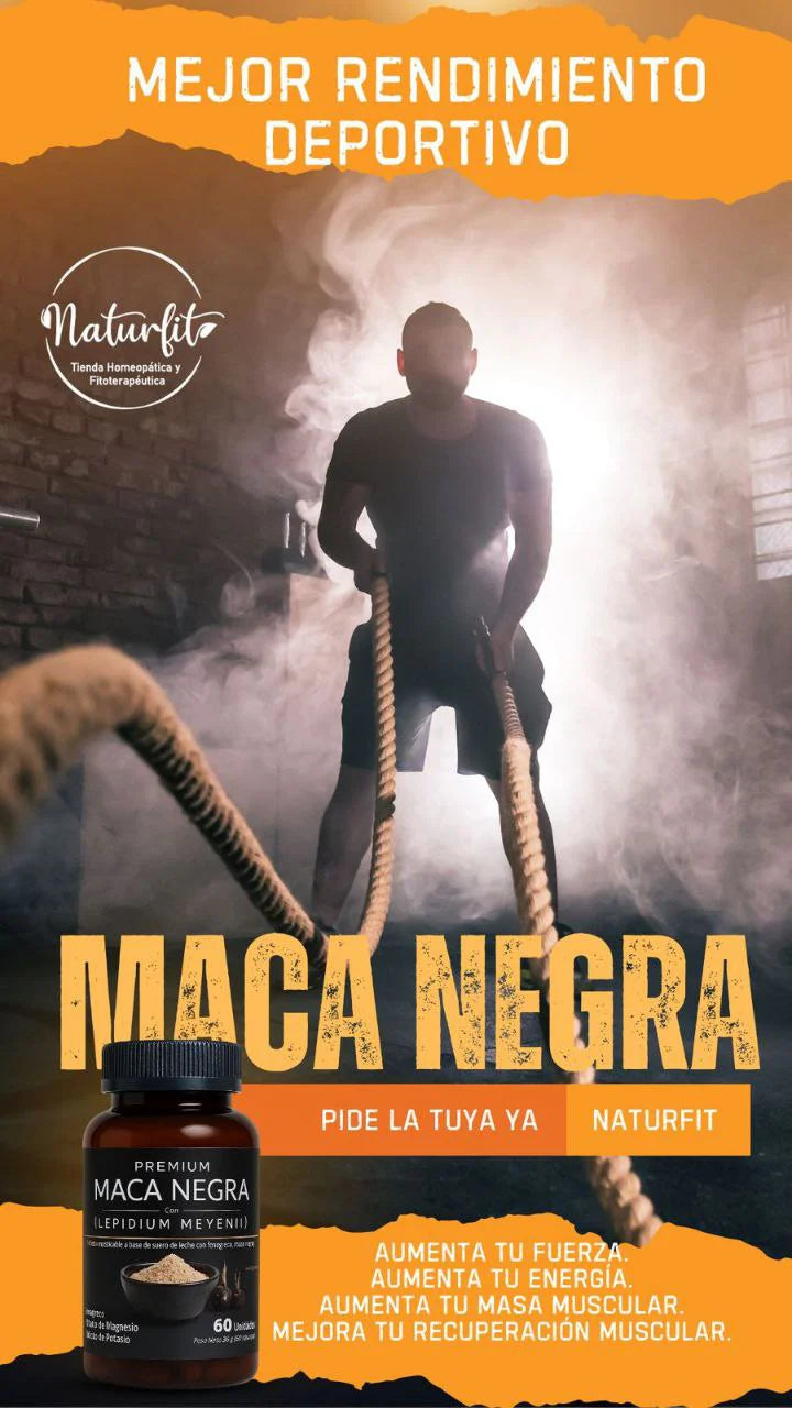 MACA NEGRA